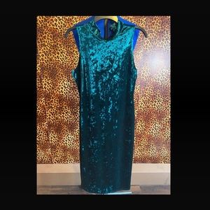 Crushed Velvet Dress